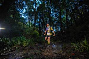 BIB: 
                            <button type="button" onclick="openModal(19236247)" class="btn btn-primary btn-sm float-right btn-popup" data-toggle="modal" data-target=".modal-high-quality">
                        <i class="fas fa-shopping-cart"></i> Add to Cart
                    </button>
                                            <button type="button" onclick="isThisMe(19236247, true)" class="btn btn-success btn-sm float-right btn-popup btn-isme hidden" data-toggle="tooltip" data-placement="bottom" title="นี่คือรูปของคุณใช่ไหม คลิกที่นี่เพื่อเอาเข้าอัลบั้ม">
                        <i class="fas fa-plus"></i> Add to album
                    </button>
                    <button type="button" onclick="isThisMe(19236247, false)" class="btn btn-warning btn-sm float-right btn-popup btn-isnotme hidden">
                        <i class="fas fa-ban"></i> Remove from album
                    </button>